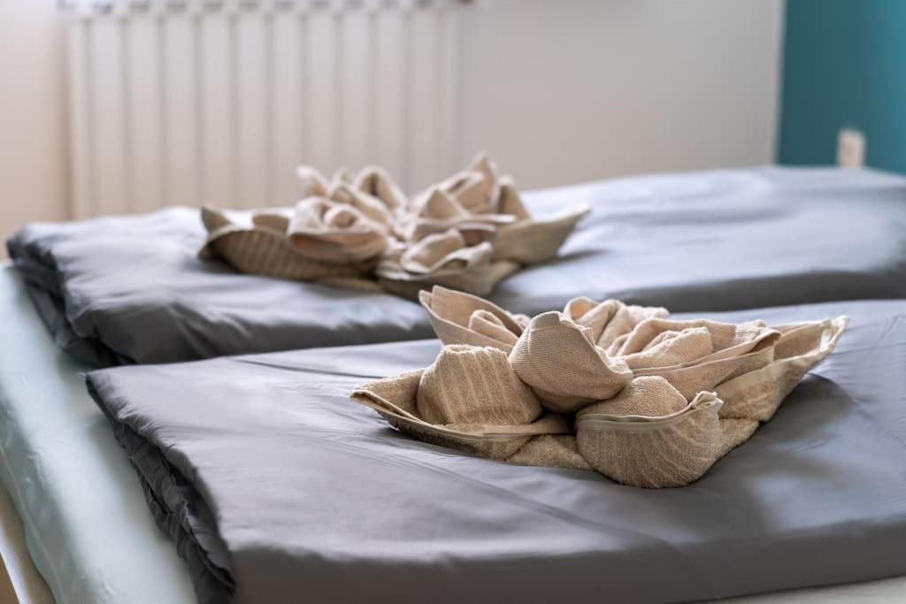 Comfort Haven Apartment